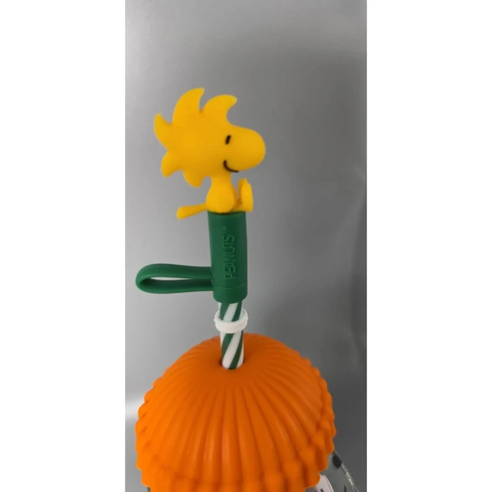 Starbucks x Peanuts Snoopy Glass Cold Cup Woodstock Topper 2026 Limited Edition